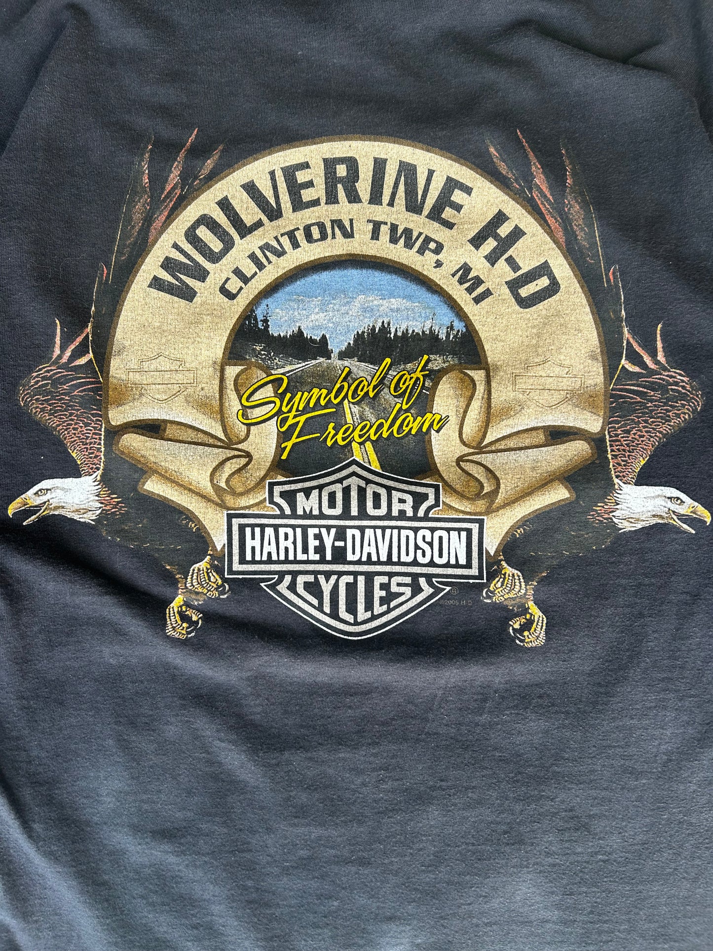 Harley Davidson flames long sleeve