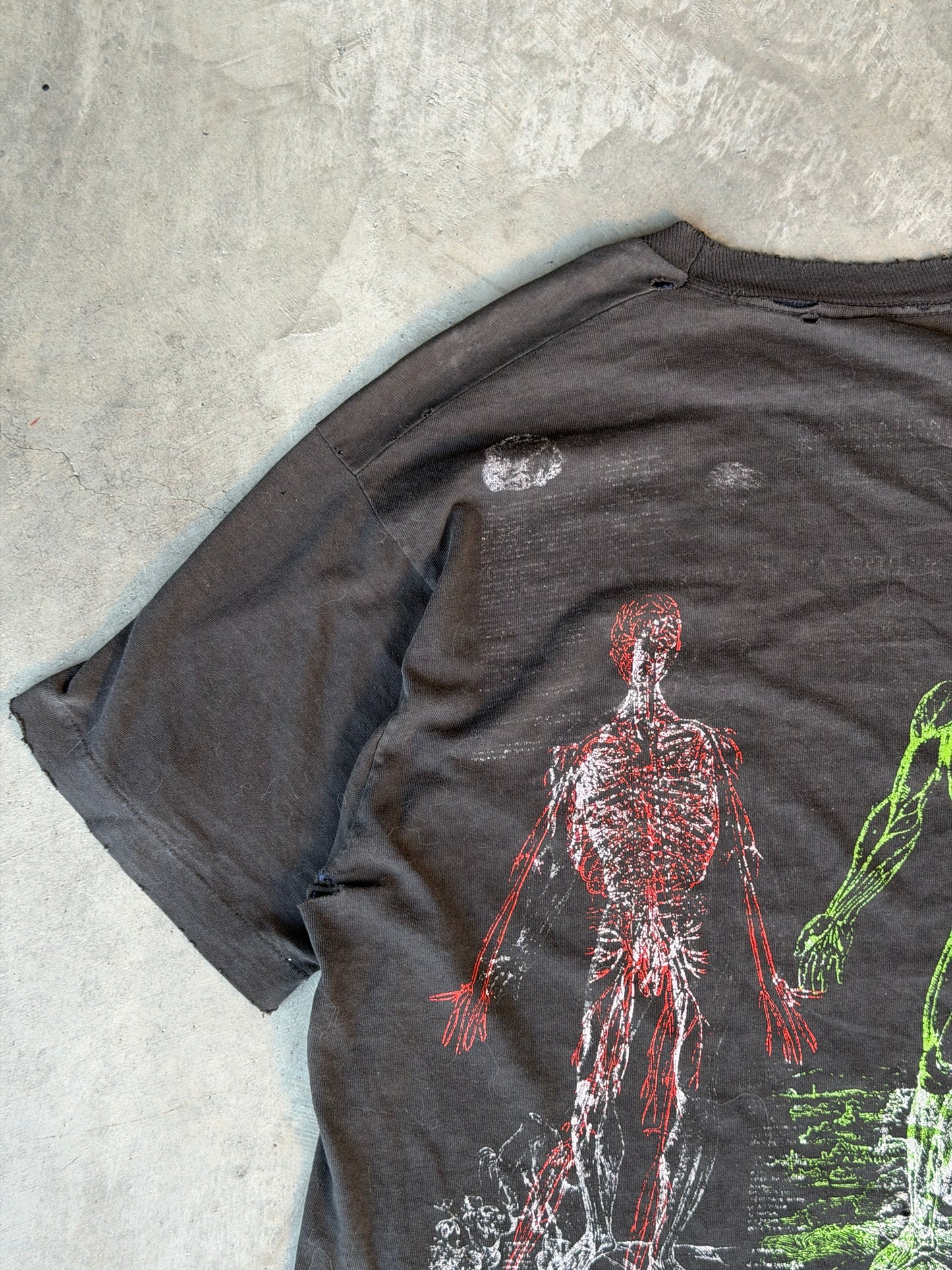 Vintage anatomy tee