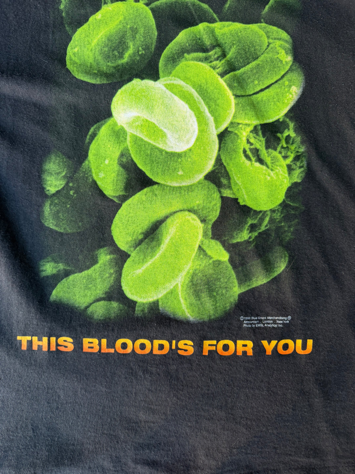 Type O Negative This Bloods For You Euro Tour