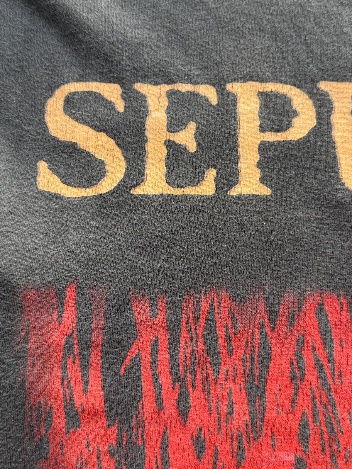 1996 Sepultura Roots