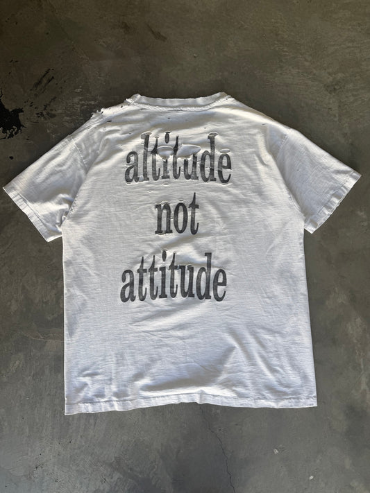 Smashing Pumpkins Altitude Not Attitude 1991-92