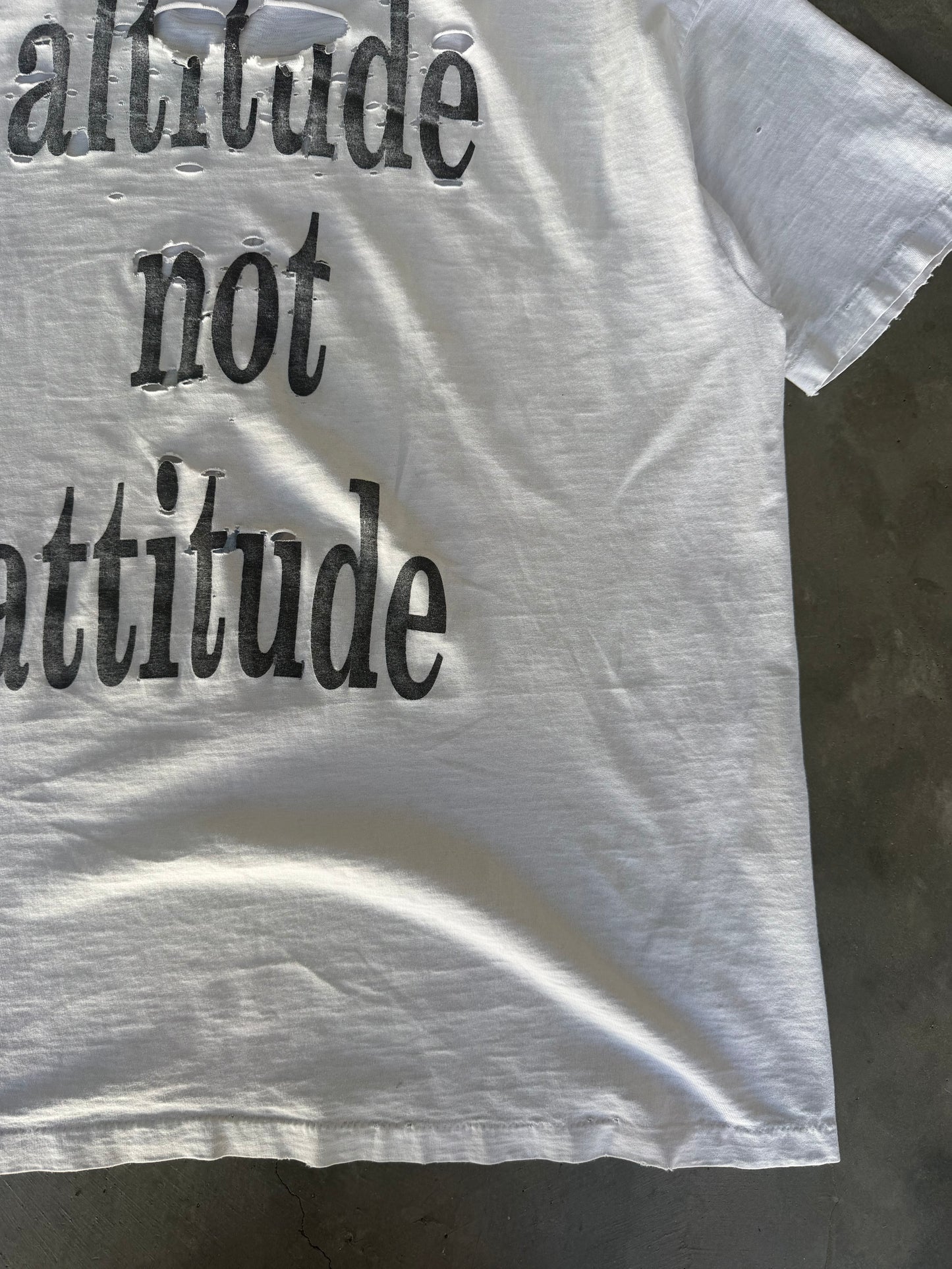 Smashing Pumpkins Altitude Not Attitude 1991-92
