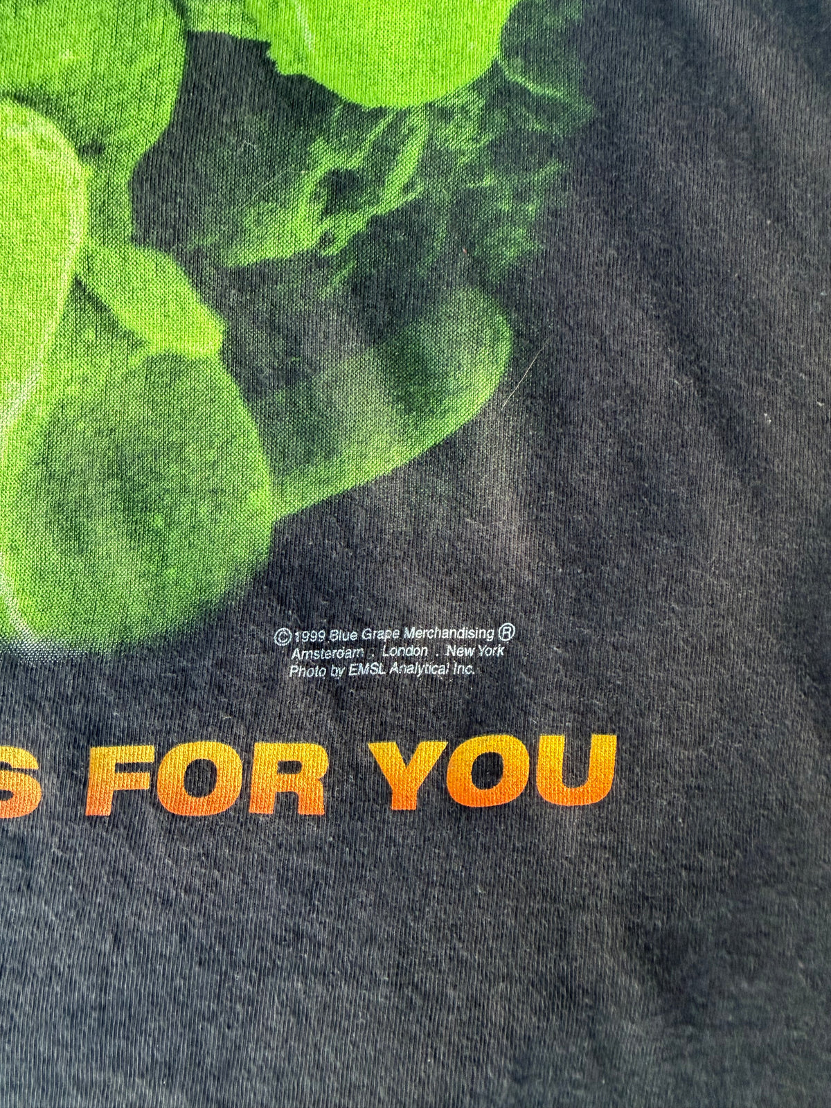 Type O Negative This Bloods For You Euro Tour
