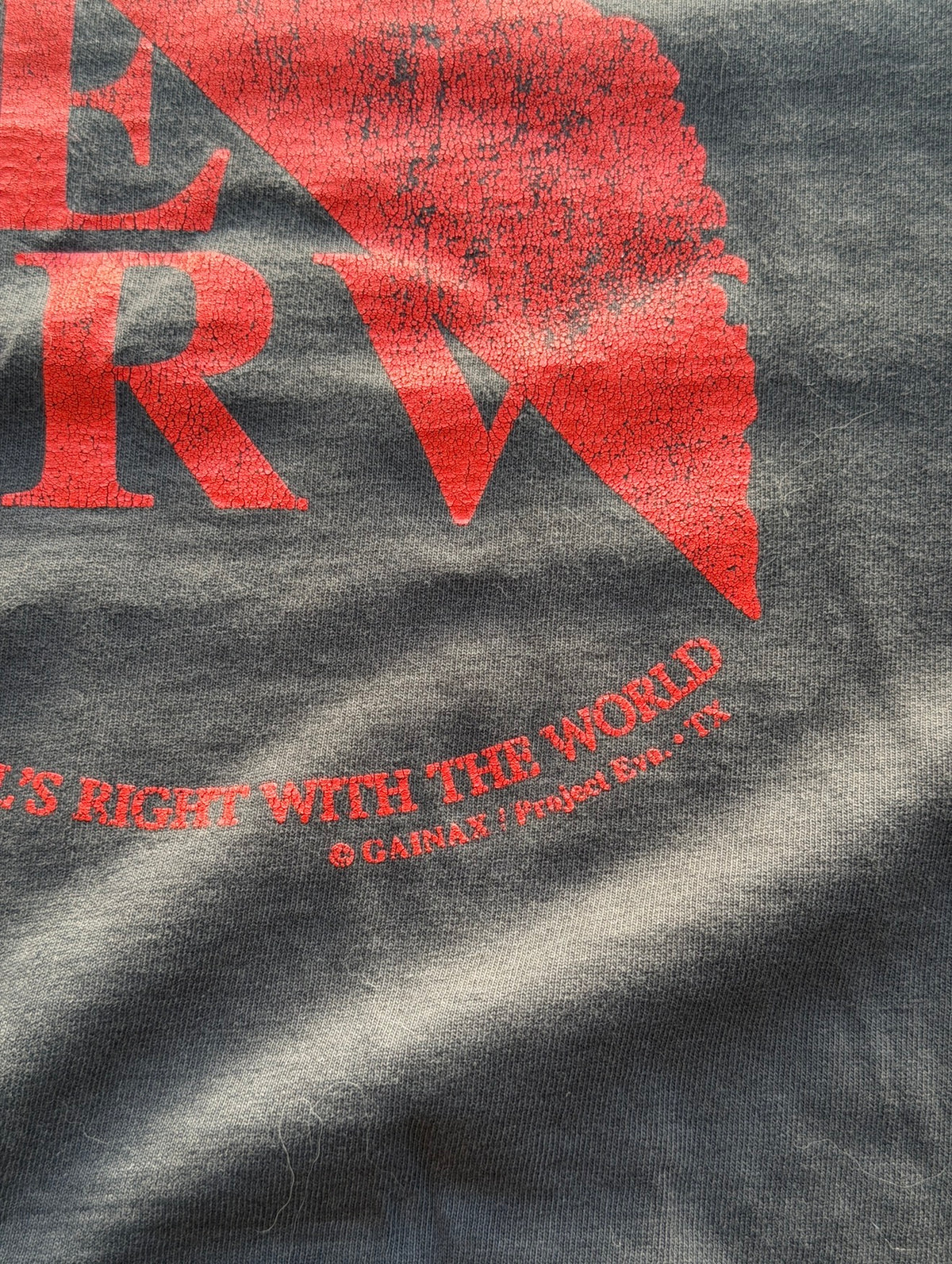 Neon Genesis Evangelion Nerv