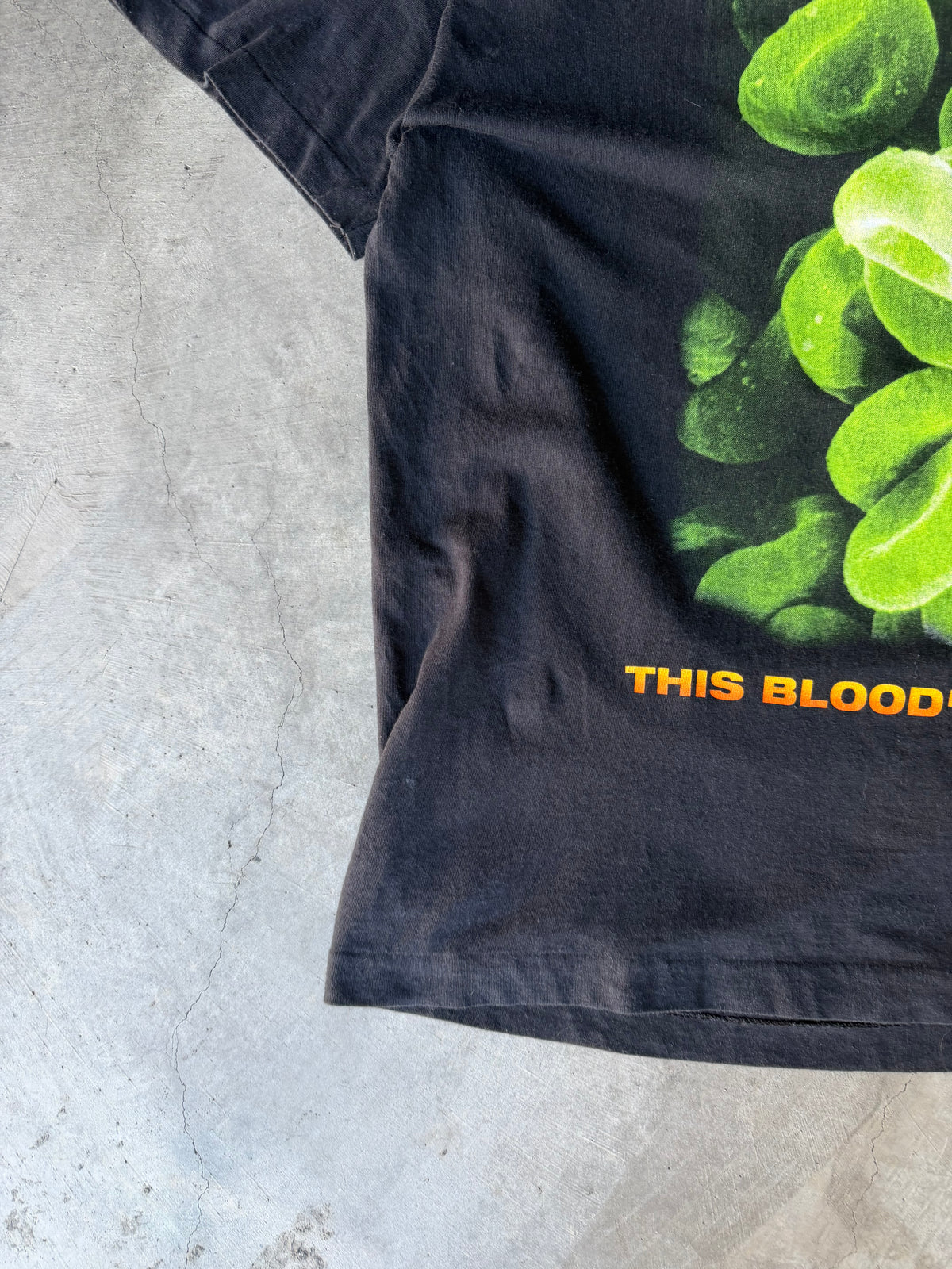 Type O Negative This Bloods For You Euro Tour