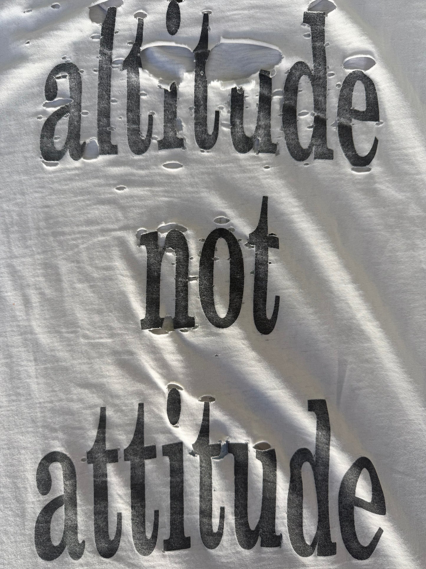 Smashing Pumpkins Altitude Not Attitude 1991-92
