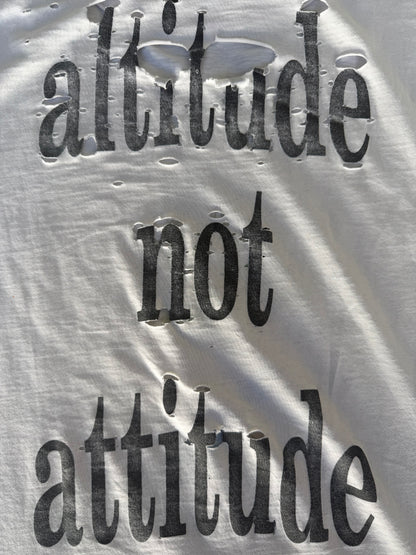 Smashing Pumpkins Altitude Not Attitude 1991-92