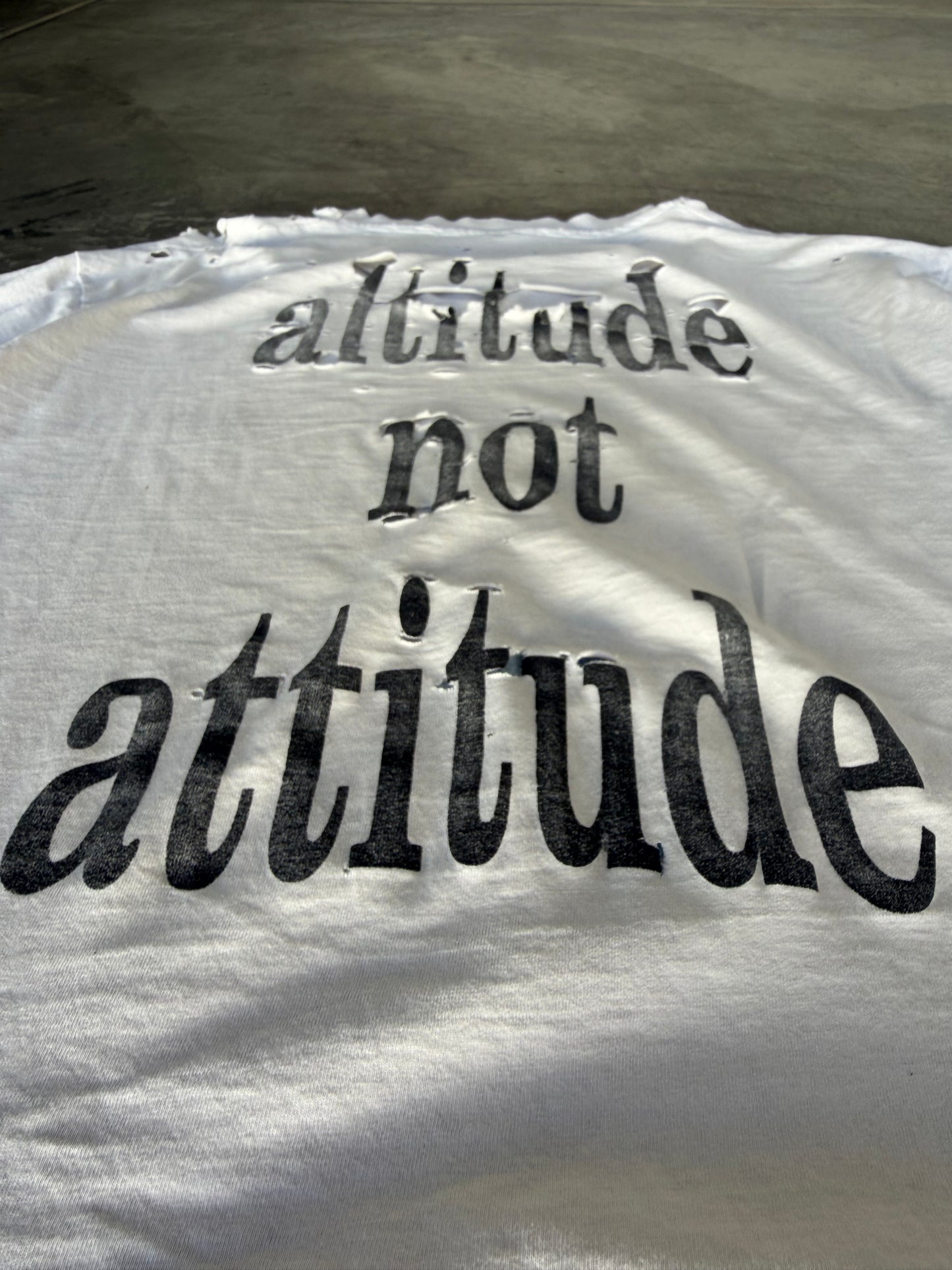 Smashing Pumpkins Altitude Not Attitude 1991-92