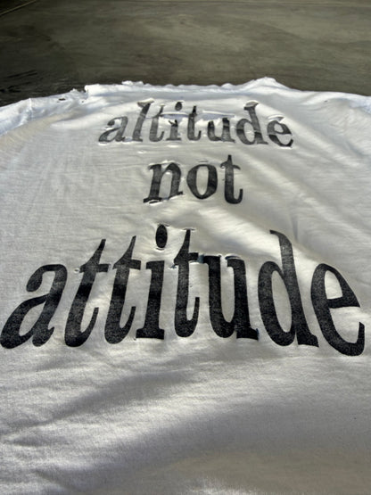 Smashing Pumpkins Altitude Not Attitude 1991-92