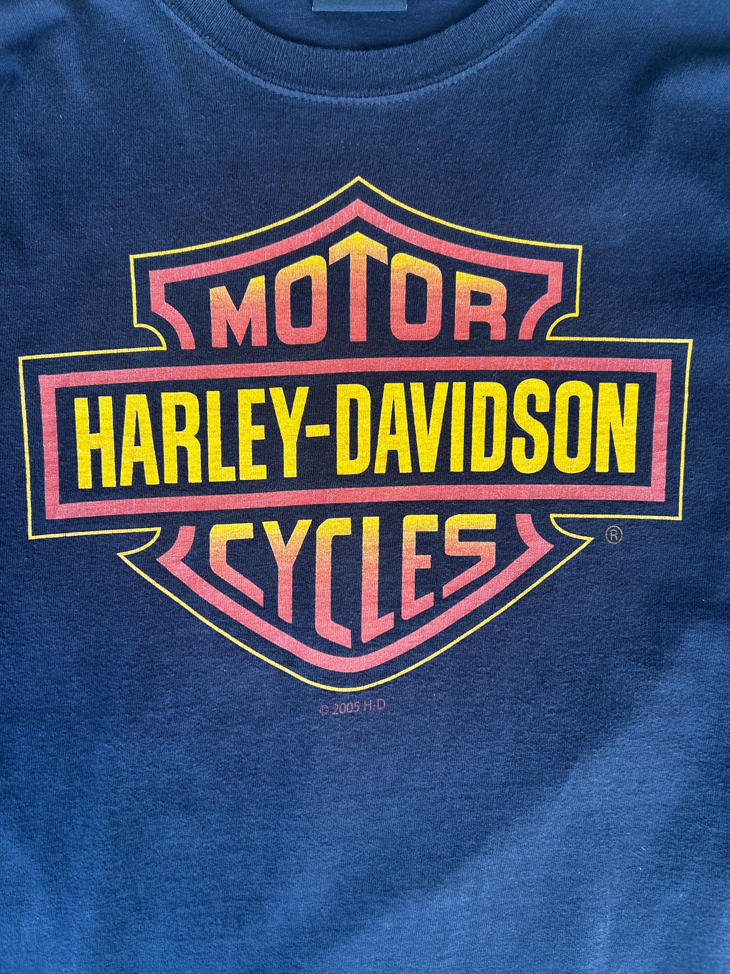 Harley Davidson flames long sleeve