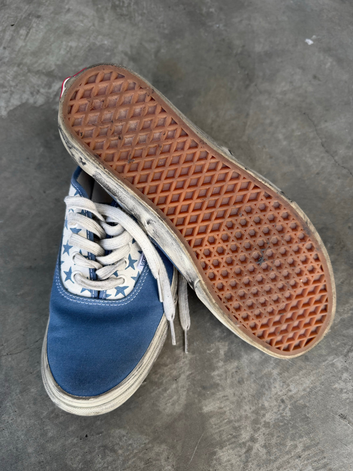Bianca Chandon authentic vans
