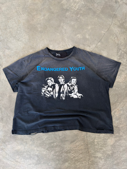 Paly hollywood "endangered youth" tee