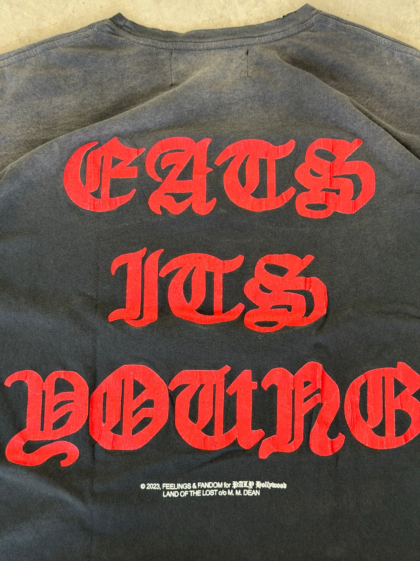 Paly hollywood "endangered youth" tee