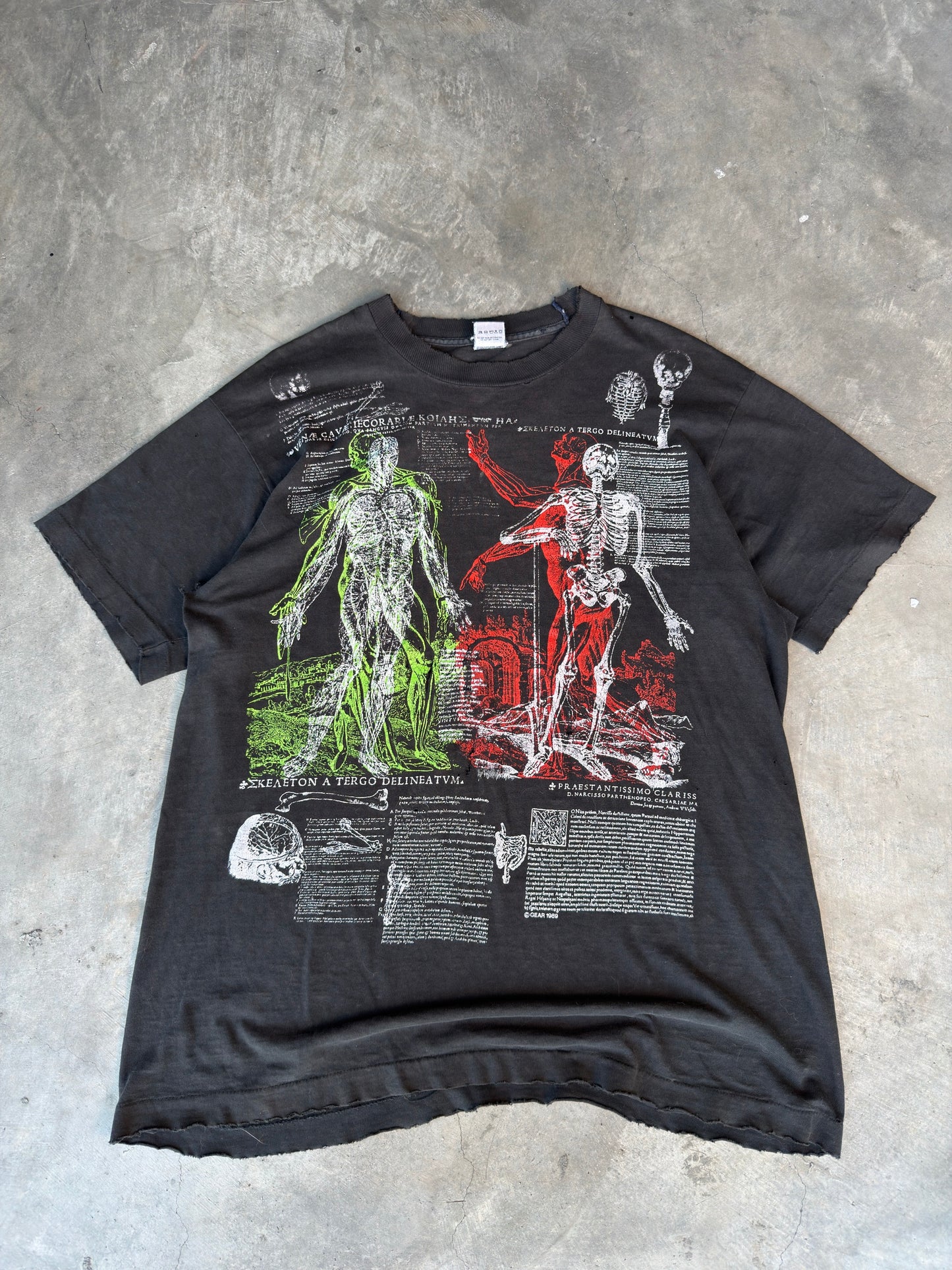 Vintage anatomy tee