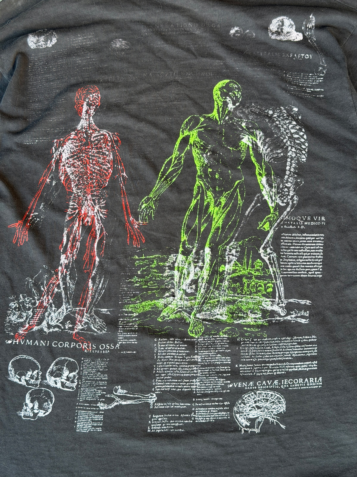 Vintage anatomy tee