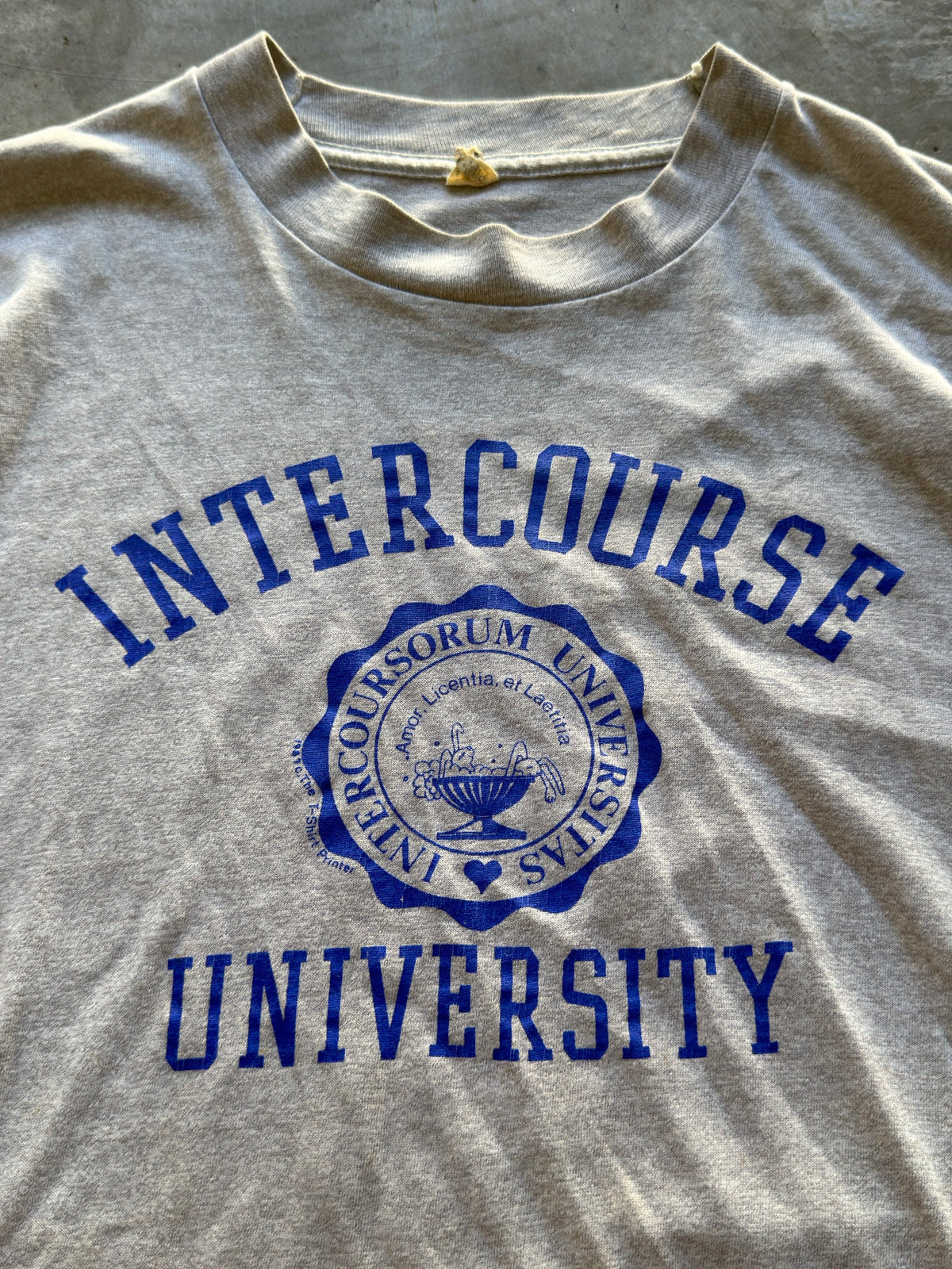 80s intercourse university tee